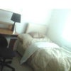 Photo 2: Single Room