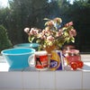 Photo 3: KITCHEN