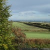 Photo 3: view from window