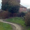 Photo 5: Back Garden