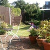 Photo 2: Sunny Terrace