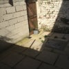 Photo 8: Garden