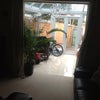 Photo 4: Conservatory Leading To Garden