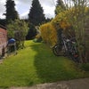 Photo 9: back garden