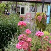 Photo 6: Garden and veranda