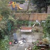 Photo 4: garden