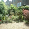 Photo 2: garden