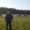 Photograph of Arman