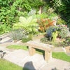 Photo 9: The Garden..