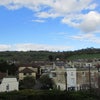 Photo 3: View from the living room