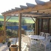 Photo 4: Patio with pool behind