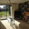 Photo 3: Living room