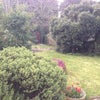 Photo 5: Garden