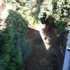 Photo 2: Back Garden