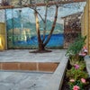 Photo 7: Garden