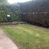 Photo 4: Side garden