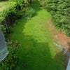 Photo 4: view from bedroom