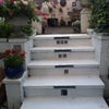 Photo 2: Garden