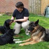 Photo 6: Dogs