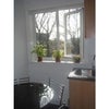 Photo 3: DINNING