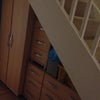 Photo 6: Under stairs storage
