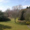 Photo 5: Back garden from bedroom