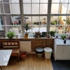Photo 2: View to the external terrace on ground floor with BBQ!