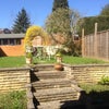 Photo 2: Garden