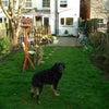 Photo 3: View of the room top left from the garden (dog not ours!)