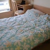 Photo 3: Bedroom angle 1