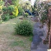 Photo 4: Garden