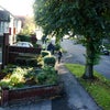 Photo 5: Lovely, safe area near shops