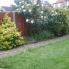 Photo 8: Garden