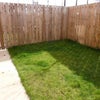 Photo 4: Back Garden