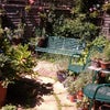 Photo 2: Secluded courtyard garden