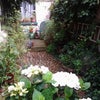 Photo 3: early evening suntrap