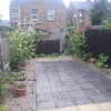 Photo 3: Garden