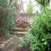 Photo 6: Garden