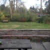 Photo 2: Garden