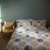 Photo 4: Sunny room all day