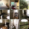 Photo 1: Collage of the flat!