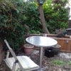 Photo 7: small garden area