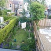 Photo 3: Garden