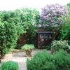 Photo 4: Garden