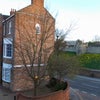 Photo 5: A view from the room