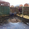 Photo 2: South facing sunny garden