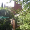 Photo 4: Garden