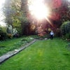 Photo 4: Garden