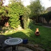 Photo 4: Walled garden