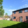 Photo 4: Large Sunny Back Garden